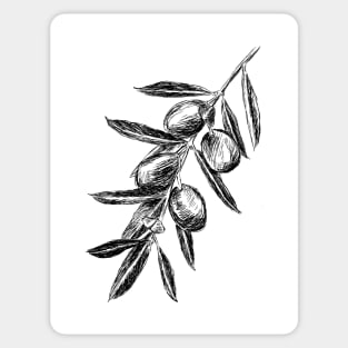 Olive branch Sticker